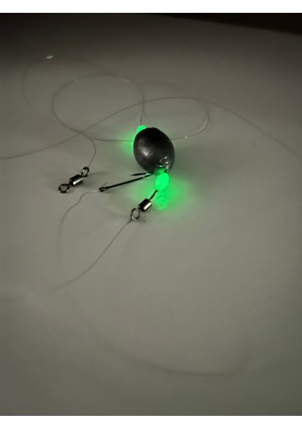 Lrf Için Özel Yapım Glowlu Tek Iğneli 5 Gram Gezer Kurşunlu Hazır Olta Iğnesi Takımı Tekne Kıyı fırsatları
