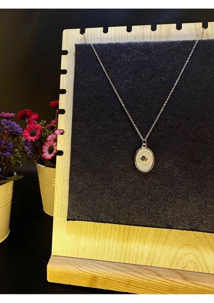 Deniz Kabuğu Çelik Kolye fiyatları