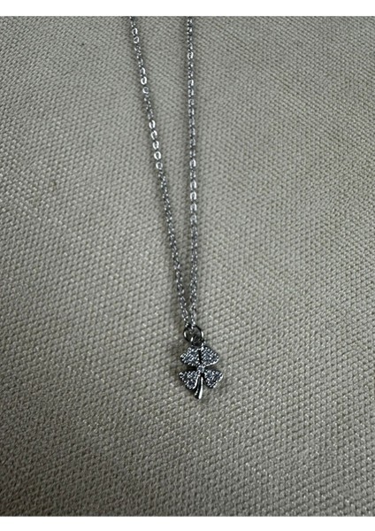 Minik Şans Yolcası Çelik Kolye