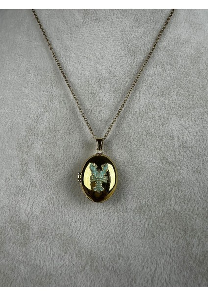 Paslanmaz Çelik Kapaklı Alya Kolye fiyatları