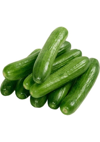 Litaetrend Hıyar Tohumu 20 gr