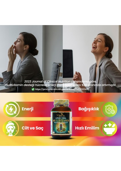 Lipozomal Multivitamin 13 Vitamin & 6 Mineral Cilt - Saç - Tırnak & Enerji | Akıllı Gıda Takviyesi fırsatları