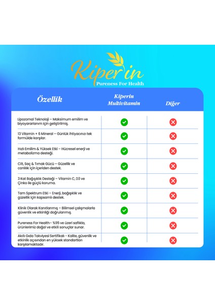 Lipozomal Multivitamin 13 Vitamin & 6 Mineral Cilt - Saç - Tırnak & Enerji | Akıllı Gıda Takviyesi indirimleri