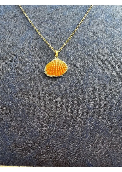 Deniz Kabuğu Kolye Paslanmaz Çelik fiyatları