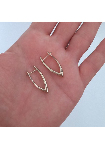 Gold Renk Çelik Küpe fırsatları