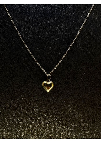 Minik Zarif Kalp Çelik Kolye