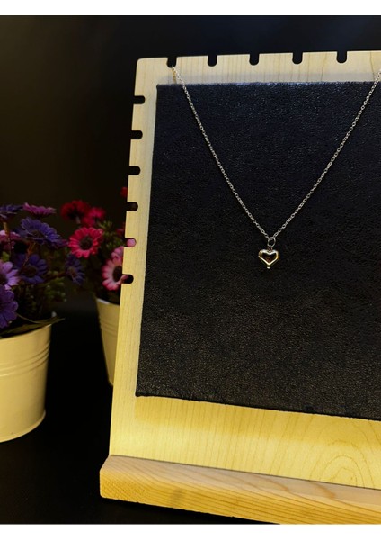 Minik Zarif Kalp Çelik Kolye fiyatları