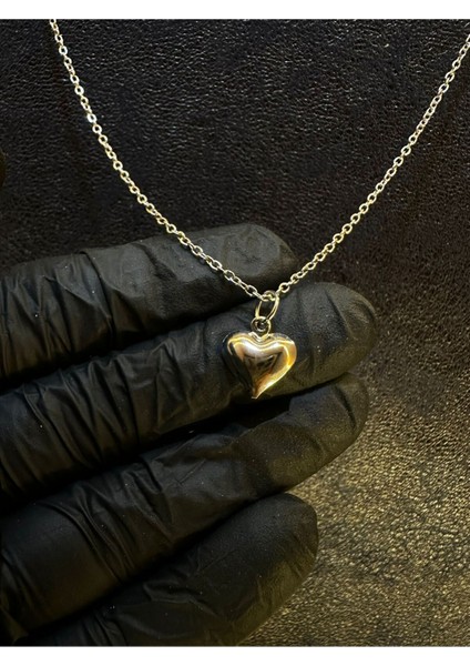 Minik Zarif Kalp Çelik Kolye modelleri