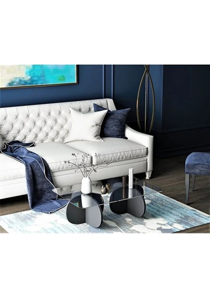 Flora Lima Orta Sehpa Dekoratif | Cam Tabla Siyah modelleri