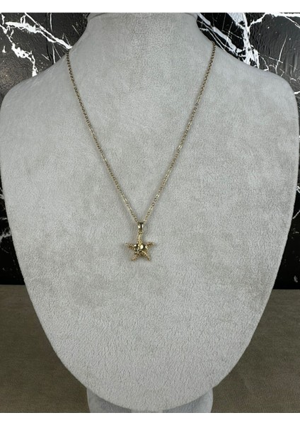 Deniz Yıldızı Çelik Kolye fiyatları