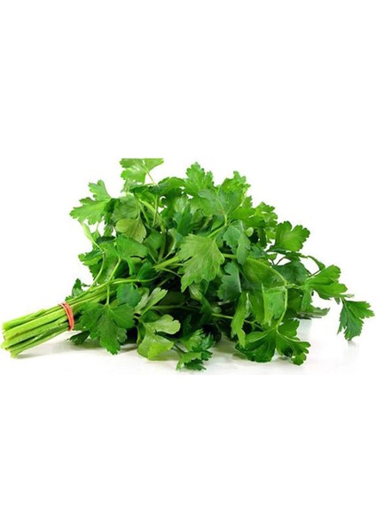 Litaetrend Maydanoz Tohumu 25 gr