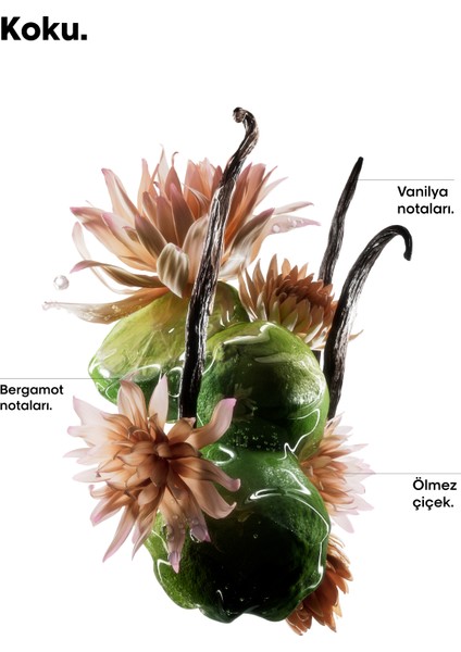 Absolut Repair Molecular Çift Fazlı Profesyonel Bakım Yağı 90 ml