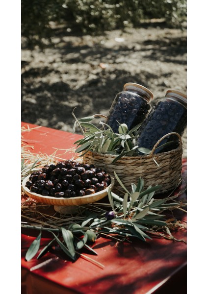 Organik Siyah Sele Zeytin – Katkısız, Doğal Fermantasyon
