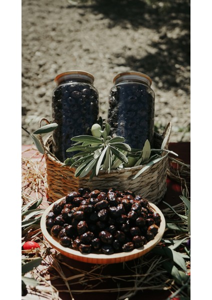 Organik Siyah Sele Zeytin – Katkısız, Doğal Fermantasyon fiyatları