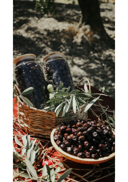 Organik Siyah Sele Zeytin – Katkısız, Doğal Fermantasyon fırsatları