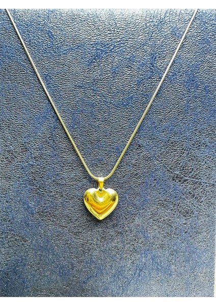 Paslanmaz Çelik Kalp Kolye fiyatları