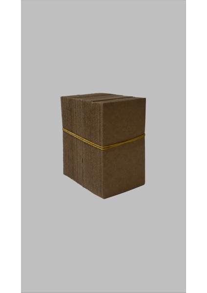 Sallama Ürün Etiketi Ipsiz 9X5CM 1000 Adet