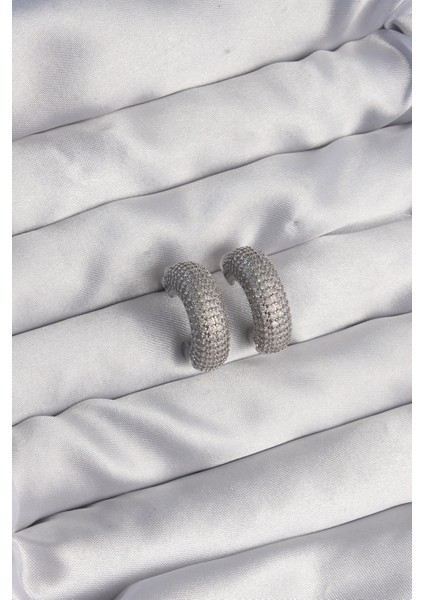 Pirinç Gümüş Renk Zirkon Taşlı Yarım Halka Küpe TG27BKP9114 fiyatları