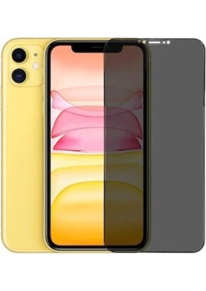 Apple Iphone 12 Mini Full-Screen Privacy Görünmez Mat Hayalet Ekran Koruyucu Cam
