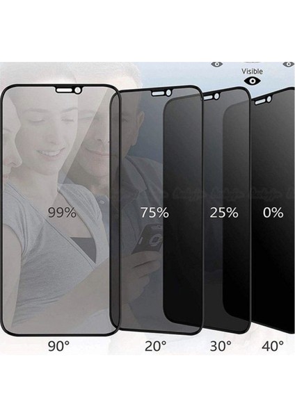 Teknopark Iphone Xs Privacy Kavisli Hayalet Gizlilik Filitreli Full Ekran Koruyucu fiyatları