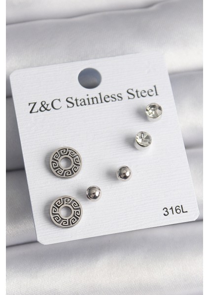 316L Çelik Gümüş Renk Zirkon Taşlı Labirent Model Kadın Küpe Seti TG27BKP10012