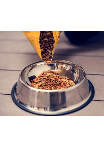 Proplan Somon Kısır Kedi Maması (Açık) 1kg