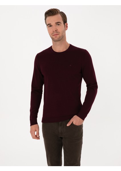 Erkek Açık Bordo Slim Fit Yün Karışımlı Bisiklet Yaka Basic Triko Kazak 50315266-VR263