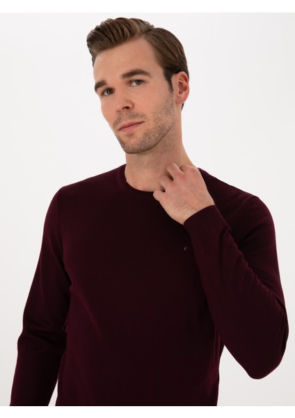 Erkek Açık Bordo Slim Fit Yün Karışımlı Bisiklet Yaka Basic Triko Kazak 50315266-VR263