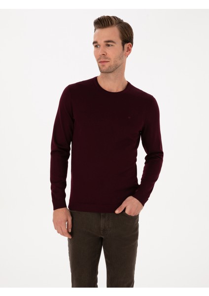 Erkek Açık Bordo Slim Fit Yün Karışımlı Bisiklet Yaka Basic Triko Kazak 50315266-VR263