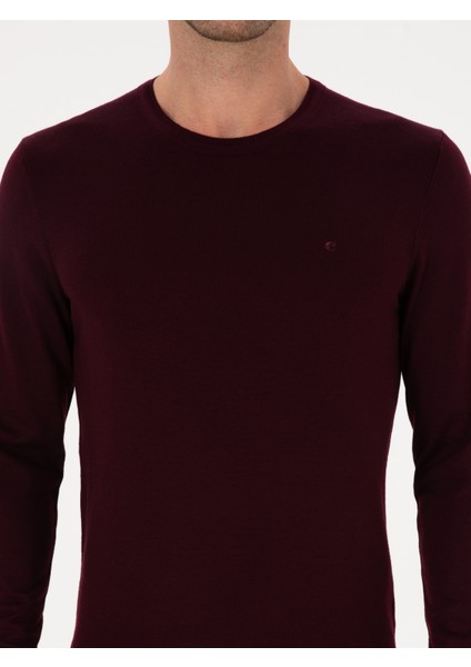 Erkek Açık Bordo Slim Fit Yün Karışımlı Bisiklet Yaka Basic Triko Kazak 50315266-VR263