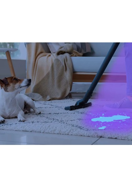 GP-281 Uv Işınlı 365NM 1300MW Hayvan Dışkı Bakteri Para Kontrol Ultraviyole Mor Işıklı Metal Ultraviyole Fener