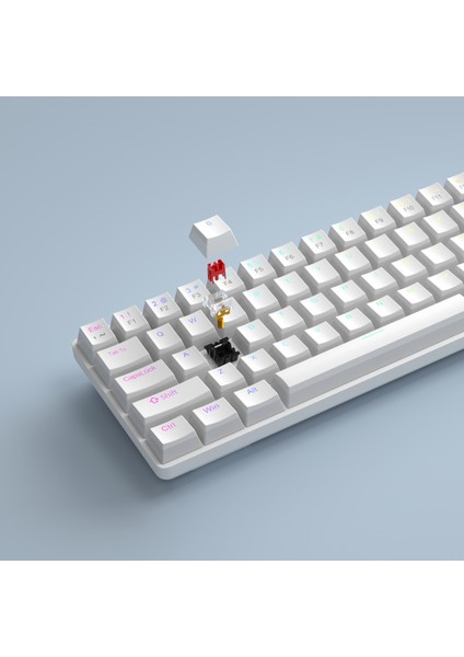Mk-Box Pudding 68 Tuş Rgb Red Switch Kablolu Beyaz Gaming Klavye fiyatları