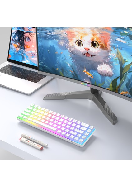 Mk-Box Pudding 68 Tuş Rgb Red Switch Kablolu Beyaz Gaming Klavye fırsatları