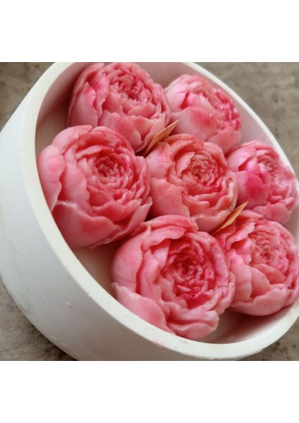 Dekoratif Gül Kase Mum modelleri