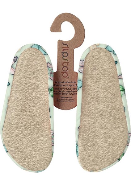 Papillon fiyatları