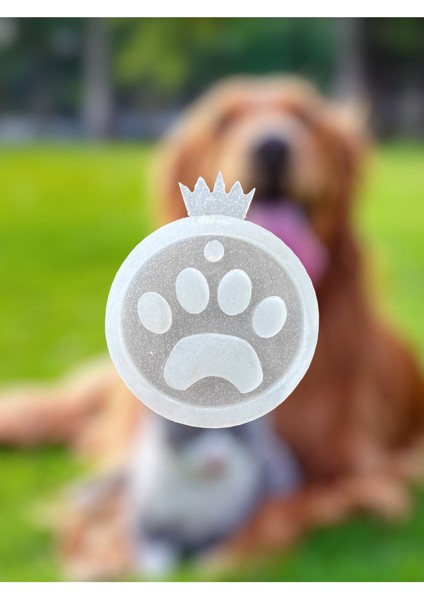 Epoksi Silikon Kalıp / Epoksi Kalıp / Reçine Künye Kolye Tasma Anahtarlık /köpek Kedi Silikon Kalıbı fiyatları