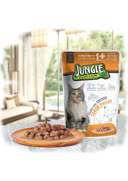 Kısır Kedi Tavuklu 100 g Pouch