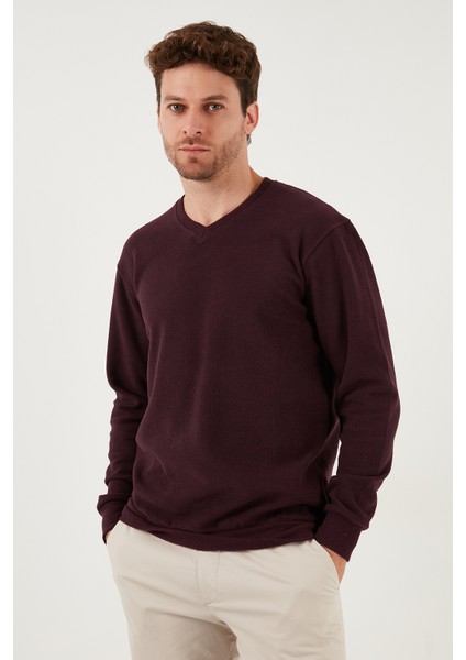 Pamuklu Regular Fit V Yaka Kazak Erkek Kazak 456202 V