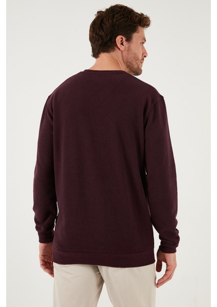 Pamuklu Regular Fit V Yaka Kazak Erkek Kazak 456202 V