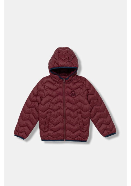 Kapitoneli Regular Fit Kapüşonlu Mont Erkek Çocuk Mont 2TWDCN04V