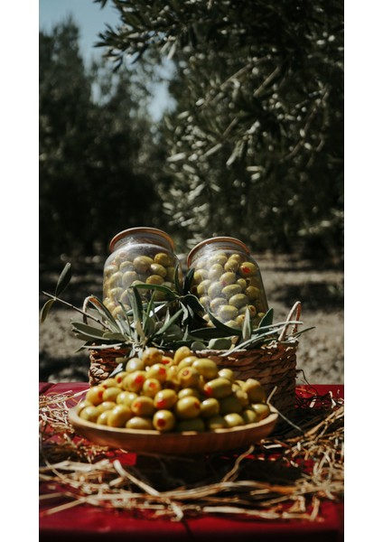 Biberli Yeşil Zeytin – Katkısız, Sofralık ve Kahvaltılık Lezzet fiyatları