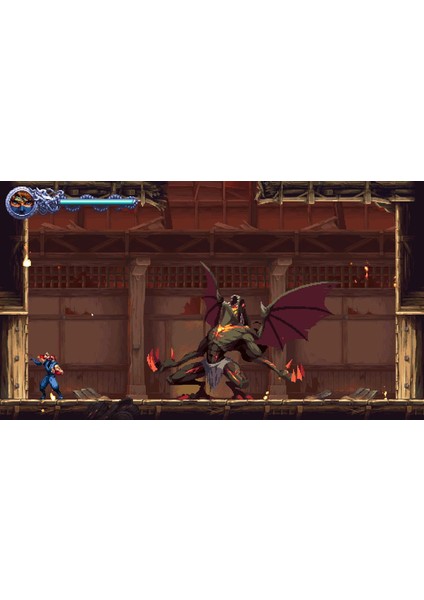 Nınja Gaıden: Ragebound (Nintendo Switch) modelleri