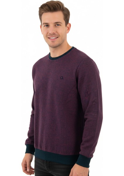 Erkek Kışlık Düğmeli Bisiklet Yaka Armalı Uzun Kollu Kırçıllı Rahat Kesim Likralı Şardonlu Pamuklu Dokuma Kazak fiyatları