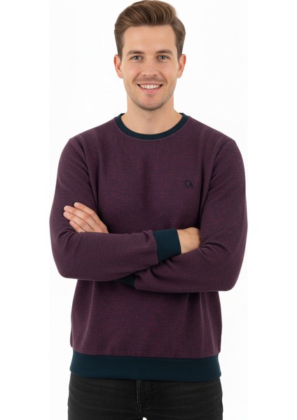 Erkek Kışlık Düğmeli Bisiklet Yaka Armalı Uzun Kollu Kırçıllı Rahat Kesim Likralı Şardonlu Pamuklu Dokuma Kazak