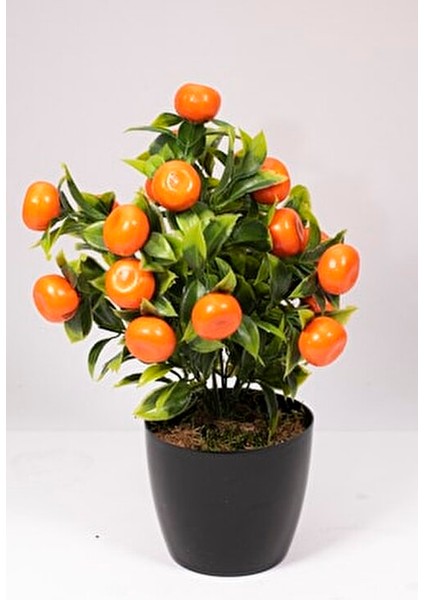 Yapay Mandalina Ağacı 28 cm Siyah Saksıda Dolu Görünümlü Çok Amaçlı Dekorasyon modelleri