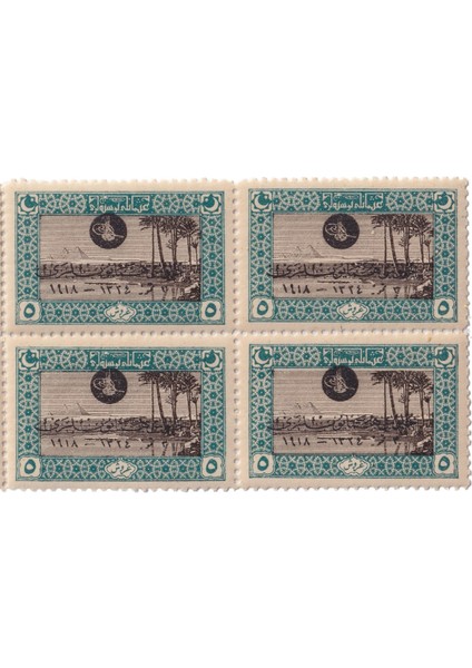 Sultan Vahdettin'in Cülusu Sürşarjlı Hatıra Pulları - 1919 - 5 Kuruş - 6'lı Per