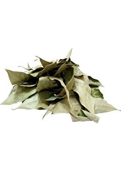 Defne Yaprağı 80 gr Doğal ve Katkısız Lezzet İçin Uygun Paket indirimleri