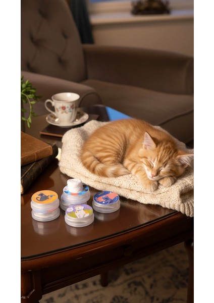 Evcil Dostlar Kedi Serisi Doğal El & Yüz & Genel Temizlik Mendili %100 Doğal fırsatları