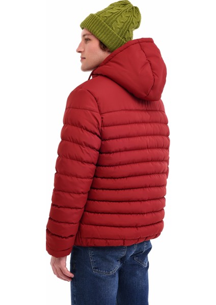 ml Dses 1kx-Dıscot-08 5pr Bordo Erkek Mont fiyatları