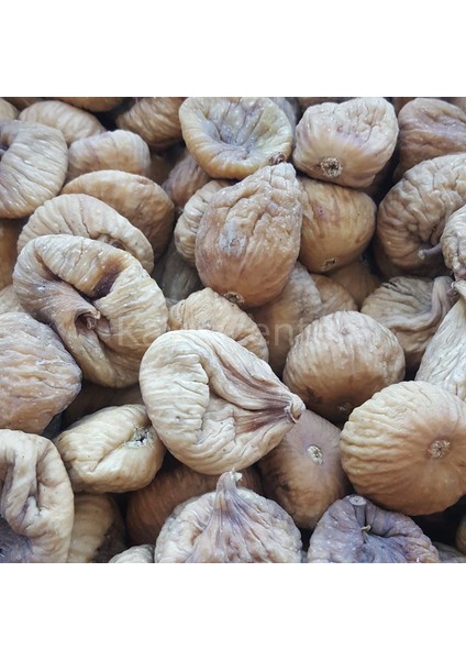 aydın naturel armut ıncir 10 kg indirimleri
